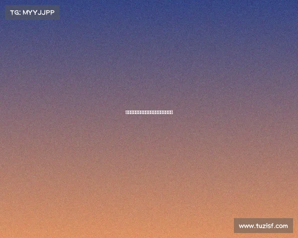 法甲教练团队深度分析与战术革新探索解析